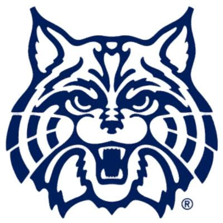 Wildcat